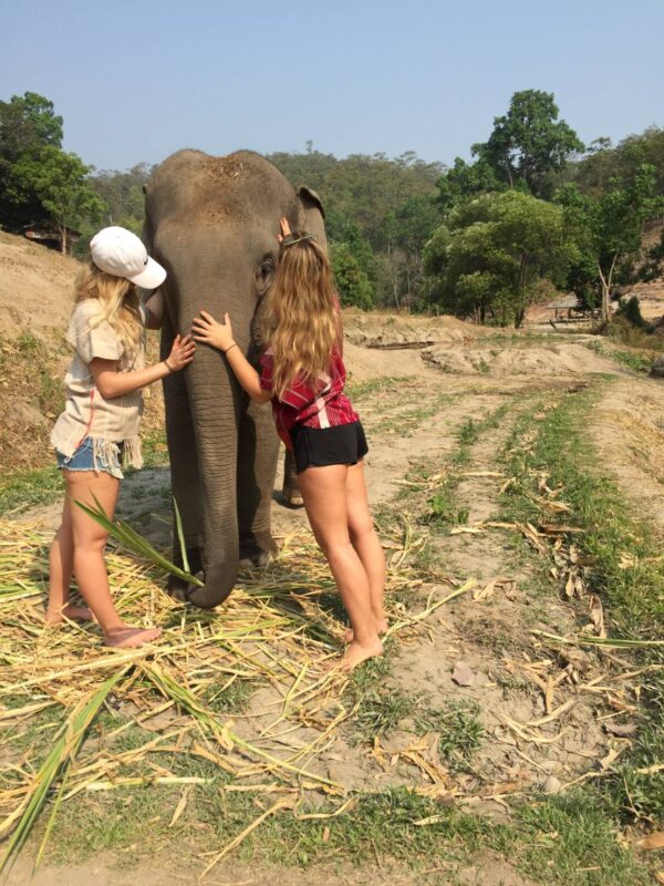 Elephant sanctuary visit