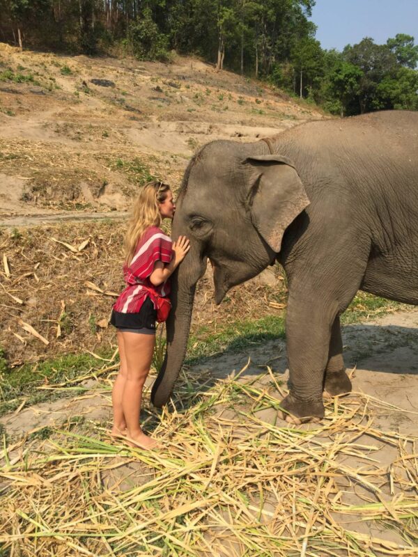 Elephant sanctuary visit