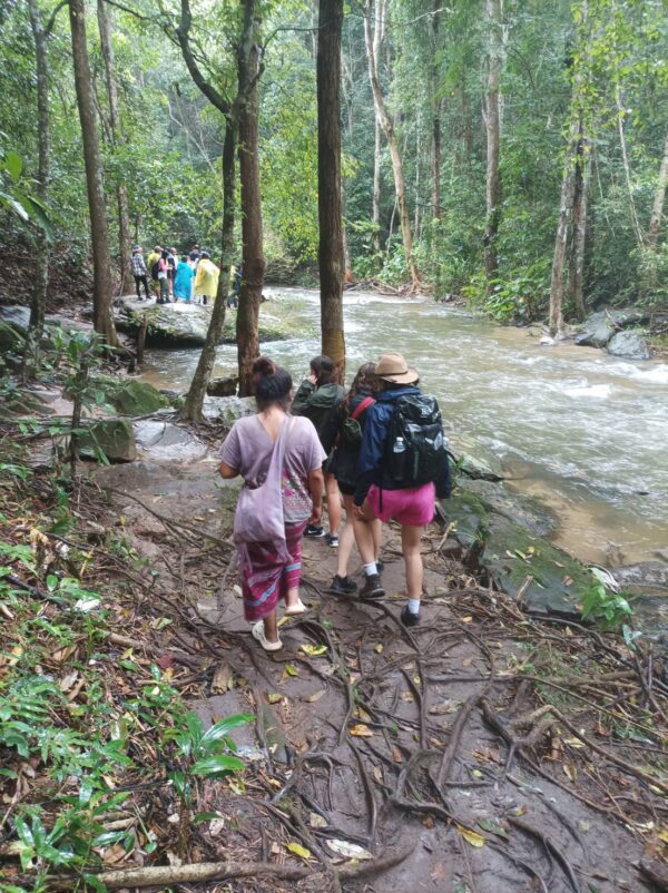 Jungle walking at Doiinthanon